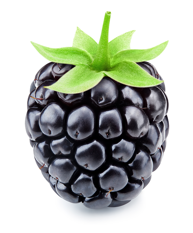 Blackberry Collection, fruit lovers, Blackberry lovers